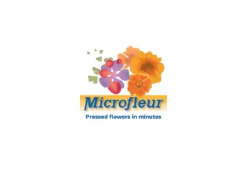 Microfleur logo